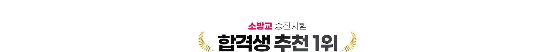 소방교 승진시험 합격생 추천 1위