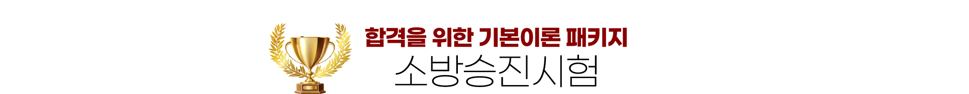 합격을 위한 기본이론 패키지 2026년 소방승진시험